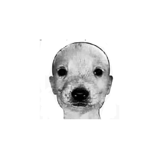 😄 emoji Julio.16 Telegram sticker 16 of 26