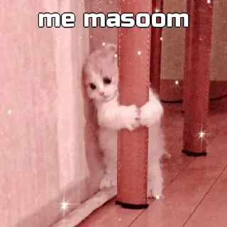 ❤️ emoji masoom pack Telegram sticker 1 of 21