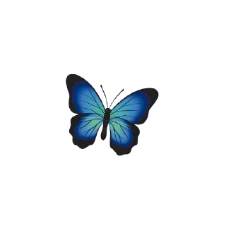 🦋 emoji @POSITIVOSER  🌻Paulinha e amigos 🌻 Telegram sticker 14 of 120