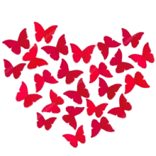 🦋 emoji @POSITIVOSER  🌻Paulinha e amigos 🌻 Telegram sticker 5 of 120