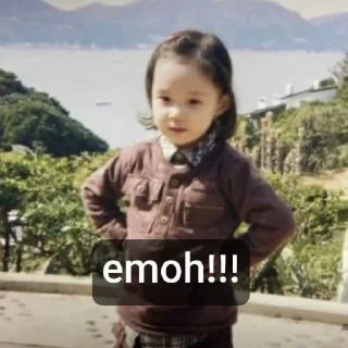 🐥 emoji Winter Bokem Telegram sticker 24 of 27