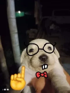 🤓 emoji El R-3 Steal Pack Telegram sticker 23 of 120
