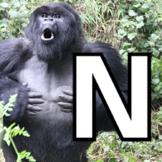 🦍 emoji NEVER RELAX Telegram sticker 8 of 20