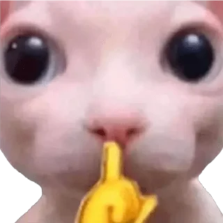 🤫 emoji Stickers Random Telegram sticker 10 of 87