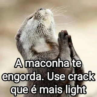 🫃 emoji Mensagens Fofas X Telegram sticker 17 of 120