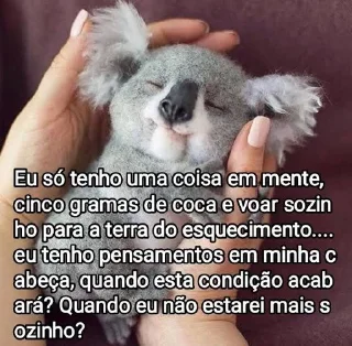 🐨 emoji Mensagens Fofas Telegram sticker 6 of 120