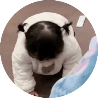 🍿 emoji 橘子代开+888租售 能量租赁 @juzi Telegram sticker 24 of 50