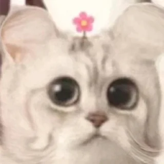 😫 emoji 猫猫表情包 👉 @biaoqing8 Telegram sticker 20 of 28