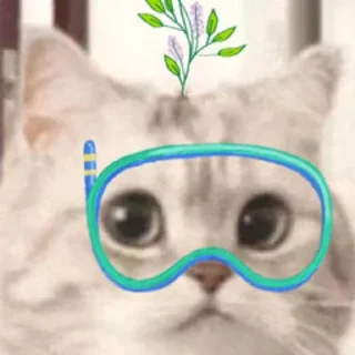 😖 emoji 猫猫表情包 👉 @biaoqing8 Telegram sticker 19 of 28