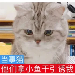 😰 emoji 猫猫表情包 👉 @biaoqing8 Telegram sticker 9 of 28