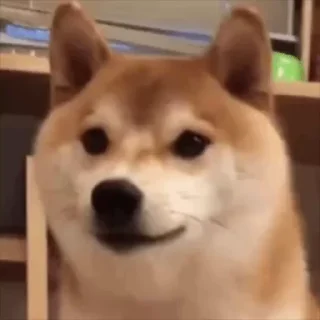 😡 emoji 胖虎の动态贴纸01 @gitbig Telegram sticker 21 of 85