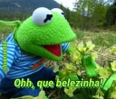 😍 emoji Kermit, the frog 2 🐸 Telegram sticker 7 of 120
