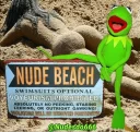 🏖 emoji Kermit, the frog 6 🐸 Telegram sticker 18 of 120