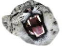 😆 emoji Snep Lep Blep Telegram sticker 4 of 119