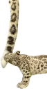 ☺️ emoji Snep Lep Blep Telegram sticker 17 of 119