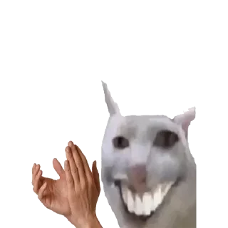 👏 emoji @The_GPU - Dany HAKIR PACK Telegram sticker 23 of 120