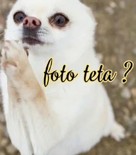 🙏 emoji Aleatórios do Italo II Telegram sticker 15 of 120