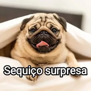 🐶 emoji Mensagens Fofas 2 Telegram sticker 11 of 120