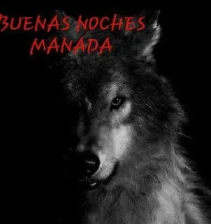 🐺 emoji Lobo ccsupernatural Telegram sticker 5 of 16