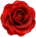 💐 emoji Flowers Telegram sticker 21 of 100