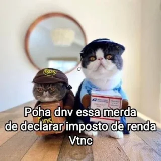 🐱 emoji Mensagens Fofas 2 Telegram sticker 2 of 120
