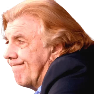 😏 emoji Mostaza Merlo Telegram sticker 10 of 16