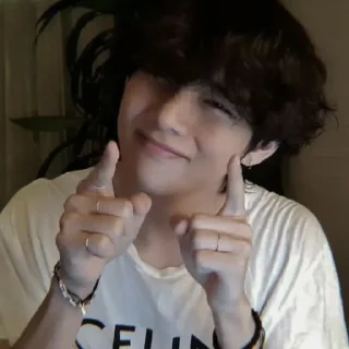 🐯 emoji ✰KIM TAEHYUNG ¦ @PLUMPBABIES Telegram sticker 16 of 56
