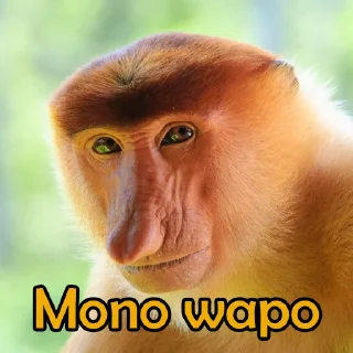 🤵 emoji mono roto Telegram sticker 8 of 18