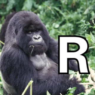 🦍 emoji NEVER RELAX Telegram sticker 13 of 20