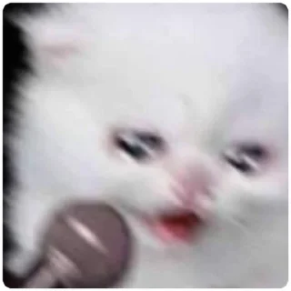🎤 emoji Cat Crying - by @canaldobrayan Telegram sticker 3 of 34