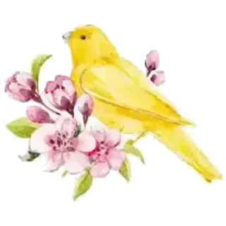 🌸 emoji @positivoser Telegram sticker 8 of 50