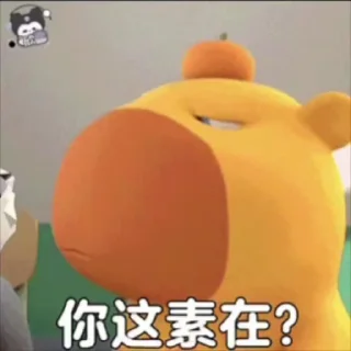 🌟 emoji 水水最爱的水豚噜噜~ @sshuiooo Telegram sticker 17 of 120