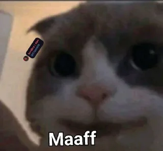 😭 emoji @Crypto08 Kocheng Unyu Telegram sticker 2 of 38