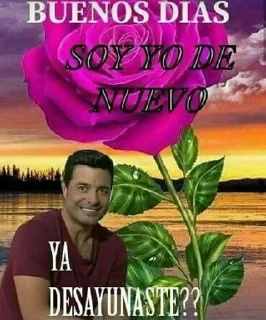 🥰 emoji Stickers de Chayanne por que sí. By: @Faaviii/@UnSerRaro" Telegram sticker 2 of 20