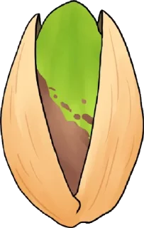 🌰 emoji StoryTime Animation Telegram sticker 22 of 67