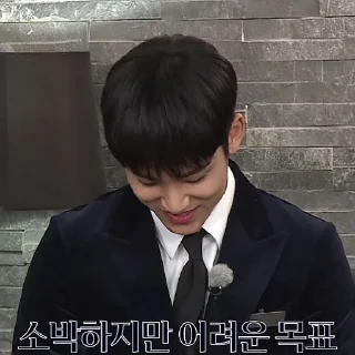 Sticker from Mingyu @stikersvt