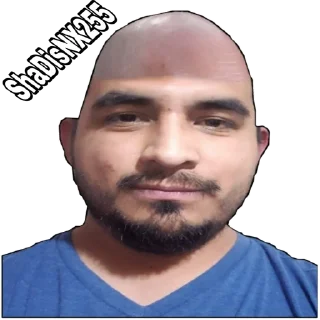 🙂 emoji Los Fan de Osyesus Telegram sticker 17 of 117