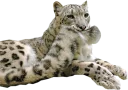 😊 emoji Snep Lep Blep Telegram sticker 21 of 119