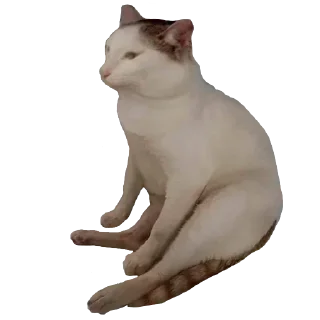 👍 emoji Grupo Telegram sticker 7 of 120