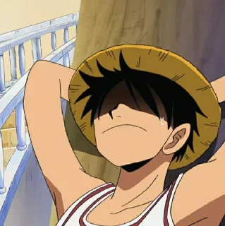 🏴 emoji NYX'S LUFFY PACK!🍖 Telegram sticker 10 of 76