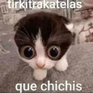🤔 emoji Hola soy El Bicho Steal Pack 6 Telegram sticker 7 of 120