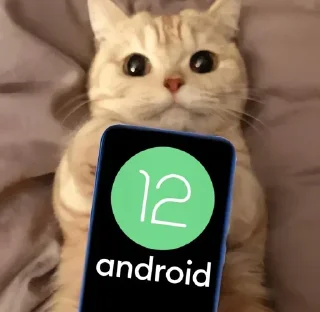 😸 emoji Roms by @selds Telegram sticker 1 of 83
