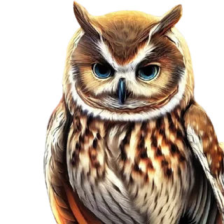 🦉 emoji Grupo♡ @PositivoSer 🌻 Telegram sticker 6 of 120