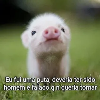 🐷 emoji Mensagens Fofas Telegram sticker 23 of 120