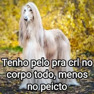 🐩 emoji Mensagens Fofas 9 Telegram sticker 11 of 120