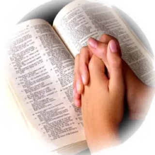 🙏 emoji Mensagens 🌻🪻🪴🍀 @POSITIVOSER Telegram sticker 9 of 75