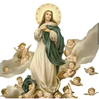 🙌 emoji Mensagens 🌻🪻🪴🍀 @POSITIVOSER Telegram sticker 18 of 75