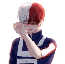 Sticker from Todoroki - @blue_rose_sword