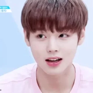 🦜 emoji Park Jihoon by @aratickers Telegram sticker 18 of 42