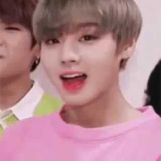 🦜 emoji Park Jihoon by @aratickers Telegram sticker 13 of 42